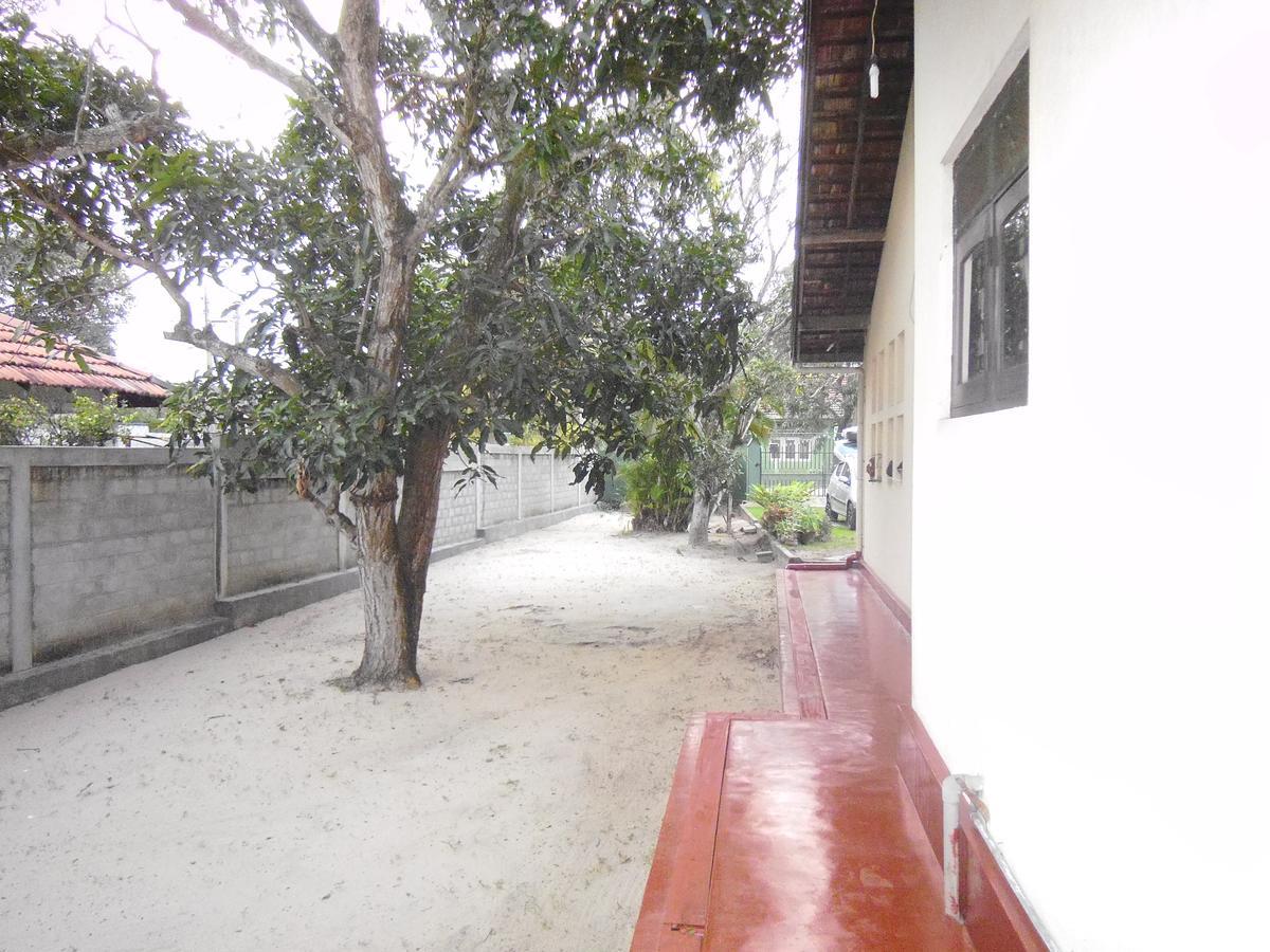 Mama'S Hostel By Taprobane Negombo Eksteriør billede