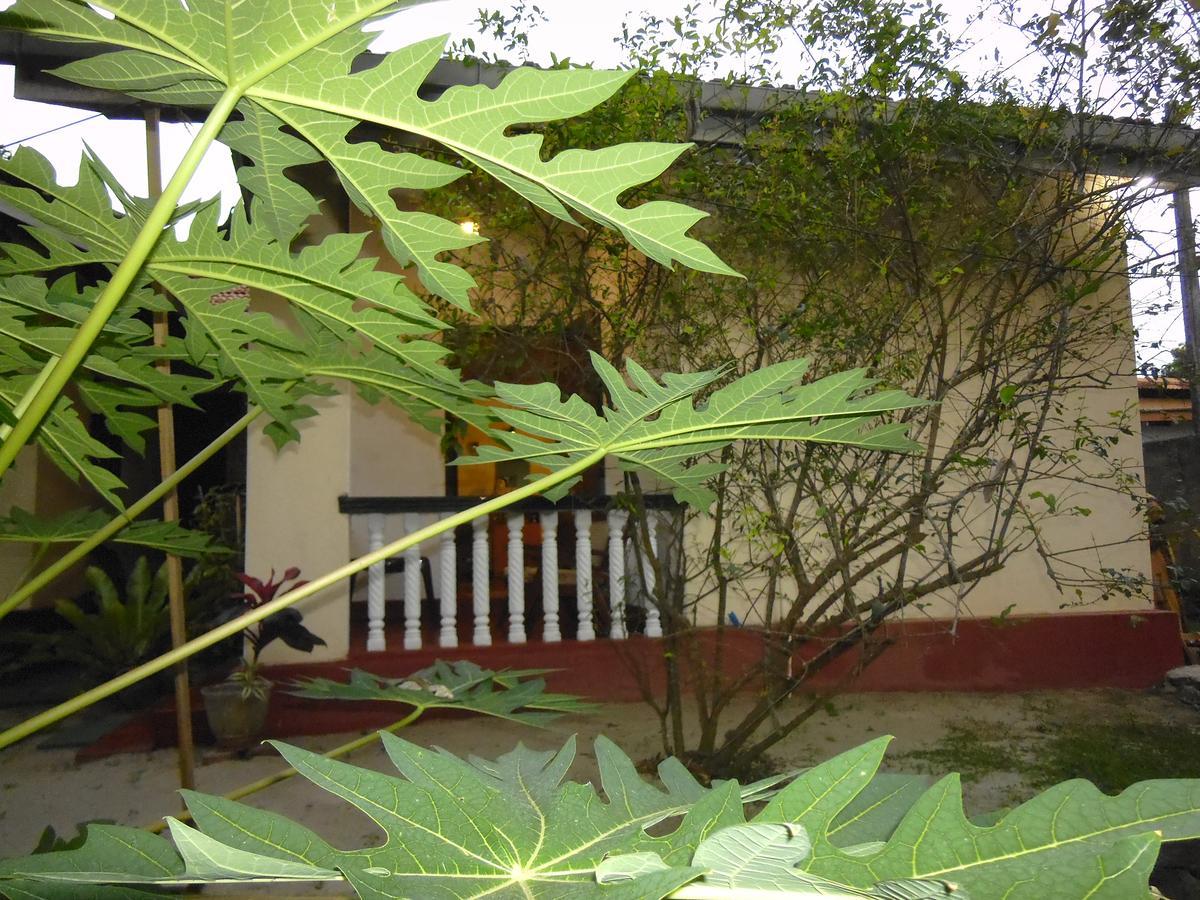 Mama'S Hostel By Taprobane Negombo Eksteriør billede